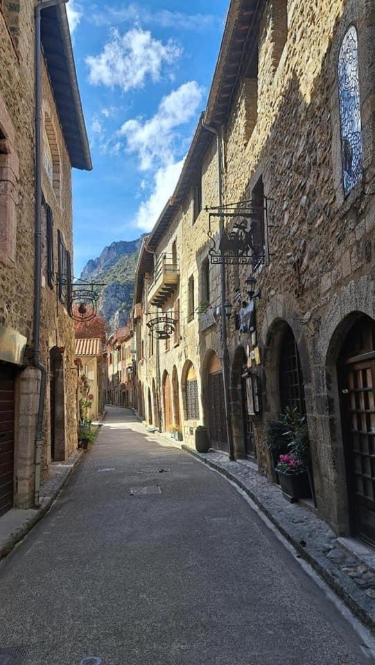 Maison Les Ramparts Villefranche-de-Conflent Zewnętrze zdjęcie